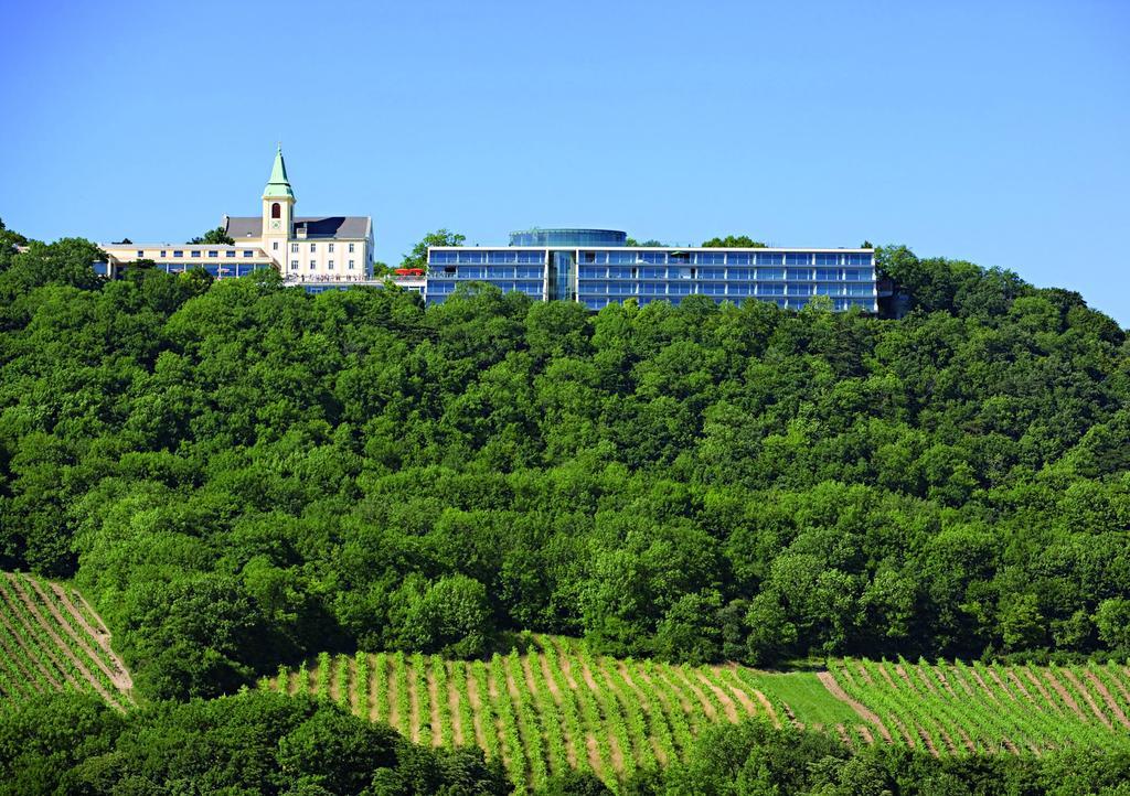 Suitehotel Kahlenberg Apartahotel